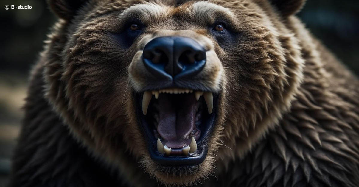 Самое смертоносное нашествие медведей зафиксировали в одной стране