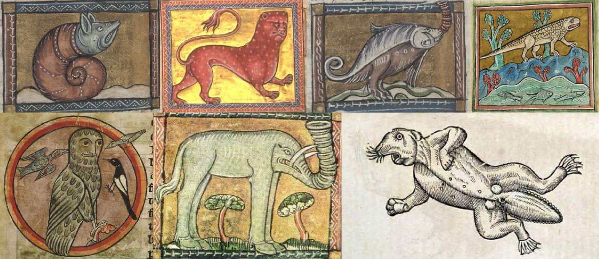Средневековая зоология